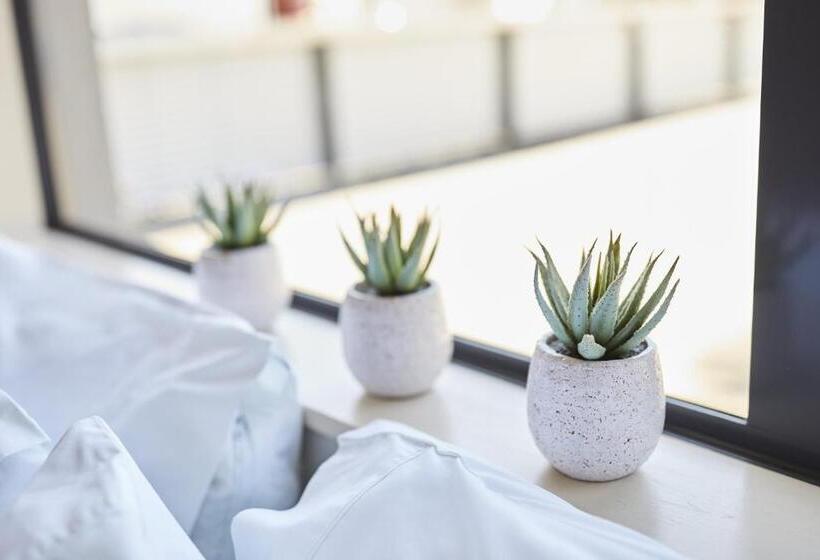 דירת חדר דלוקס, Blenheim Palms Motel