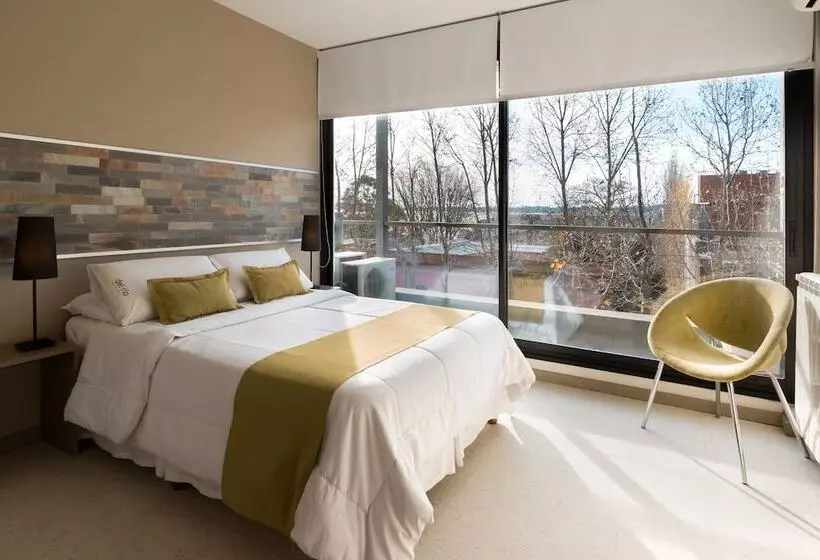 اتاق استاندارد, Hostel & Suites Del Rio