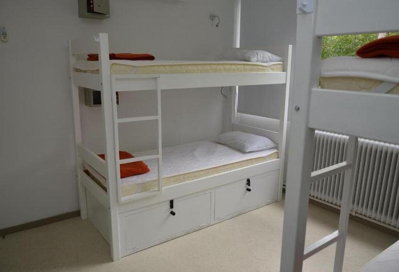 تختخواب در اتاق مشترک, Hostel & Suites Del Rio