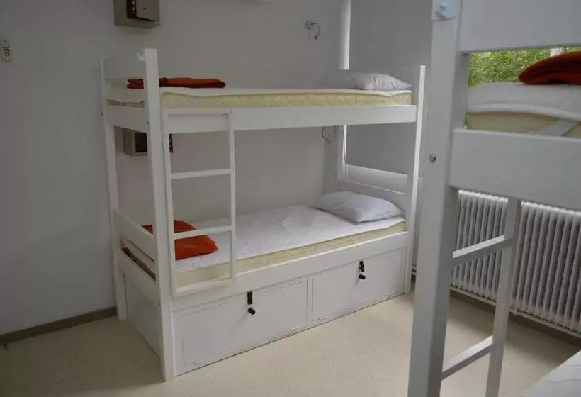 تختخواب در اتاق مشترک, Hostel & Suites Del Rio