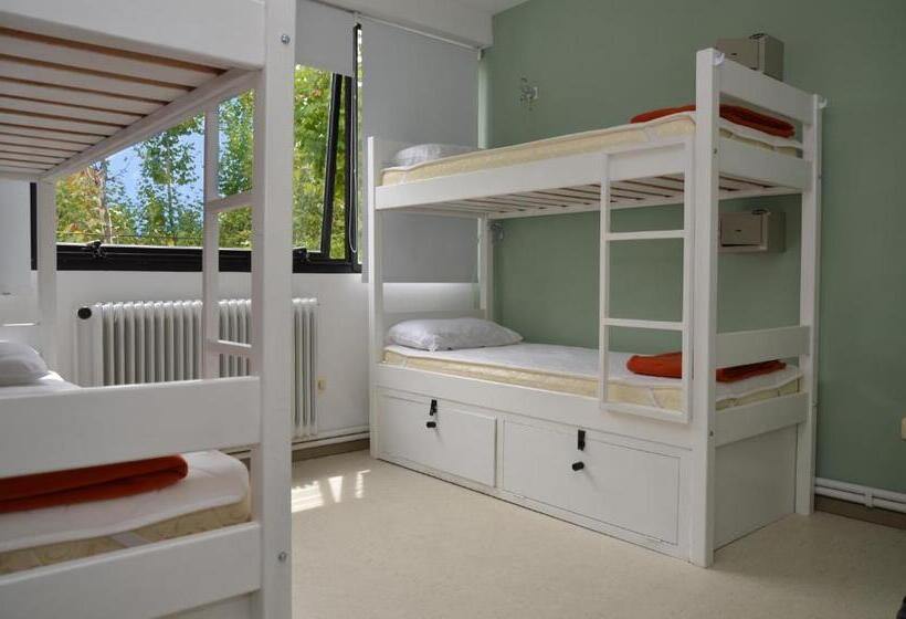 تختخواب در اتاق مشترک, Hostel & Suites Del Rio