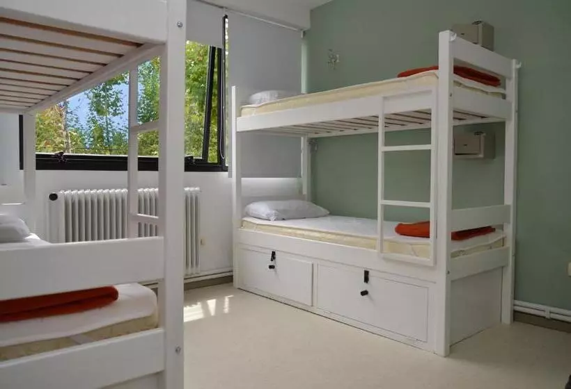 تختخواب در اتاق مشترک, Hostel & Suites Del Rio