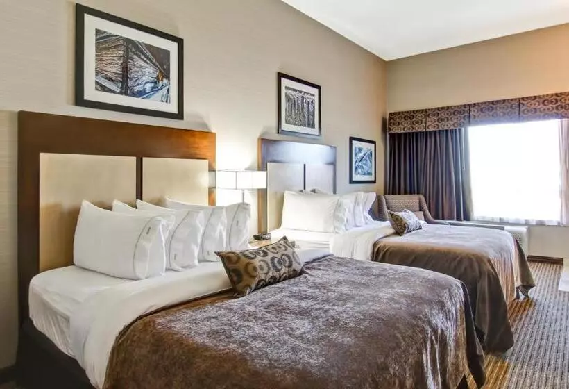 スタンダードルーム, Canalta Hotel Assiniboia