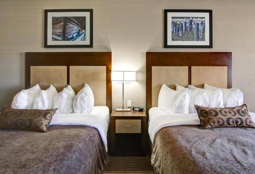 חדר סטנדרט, Canalta Hotel Assiniboia