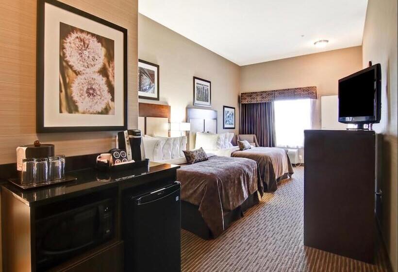 חדר סטנדרט, Canalta Hotel Assiniboia