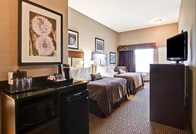 スタンダードルーム, Canalta Hotel Assiniboia