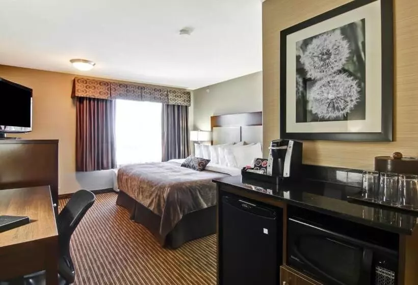 キングサイズベッドのスタンダードルーム, Canalta Hotel Assiniboia