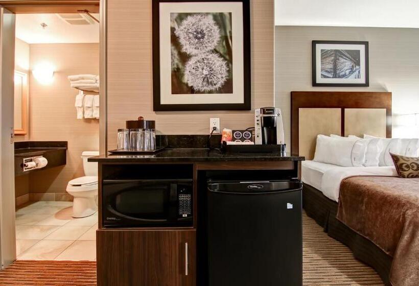 חדר סטנדרט, Canalta Hotel Assiniboia