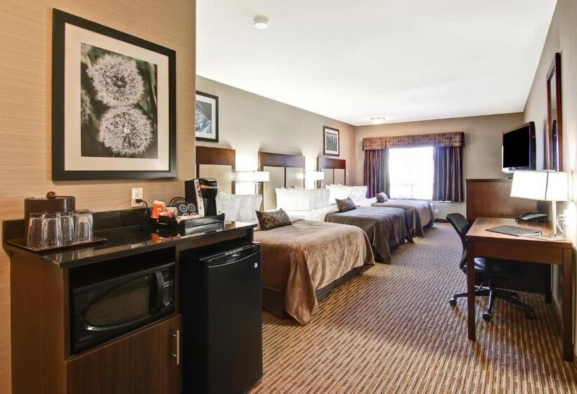 חדר סטנדרט, Canalta Hotel Assiniboia