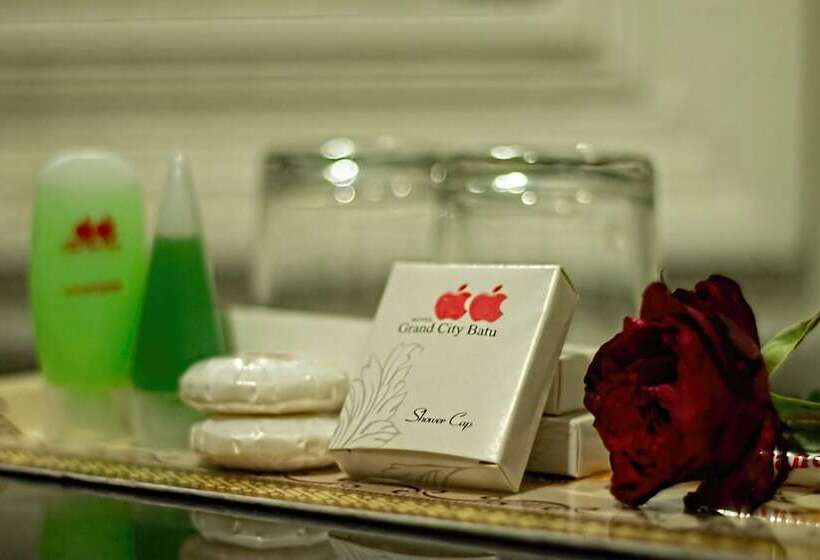 Полулюкс, Grand City  Batu