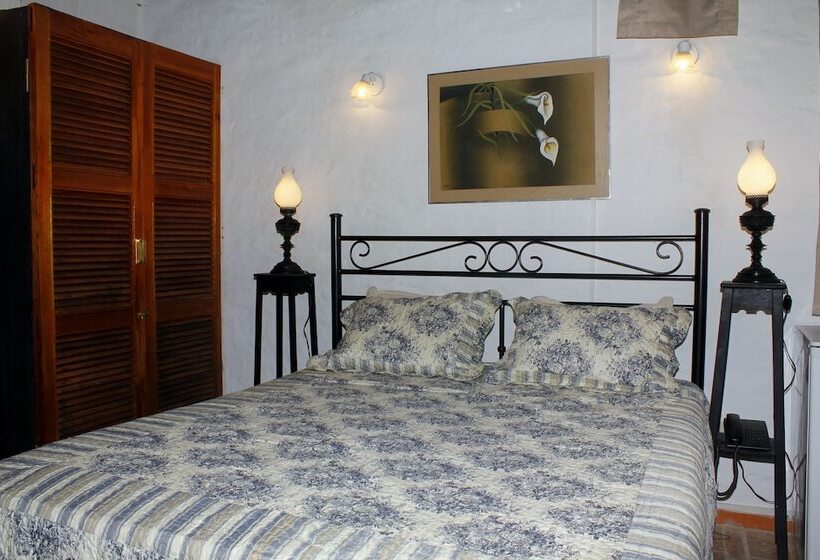 اتاق استاندارد, Paseo Del Arte