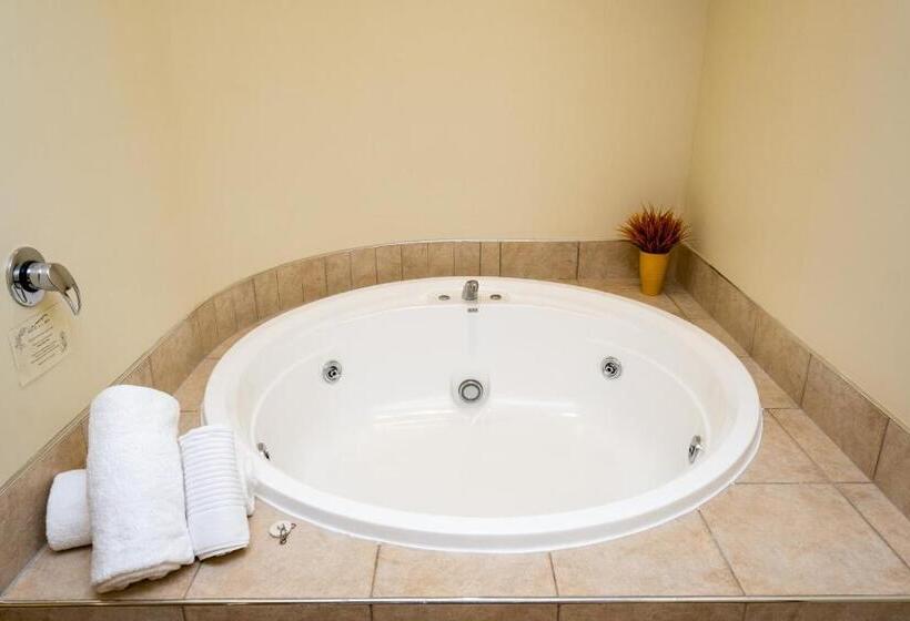 סוויטה אקזקיוטיב, Motel De La Mer