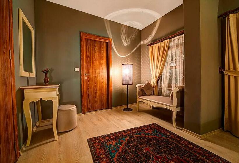 اتاق لوکس, Million Old City Apartment
