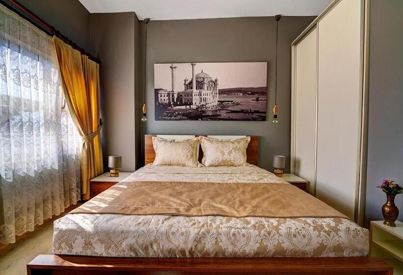 اتاق لوکس, Million Old City Apartment