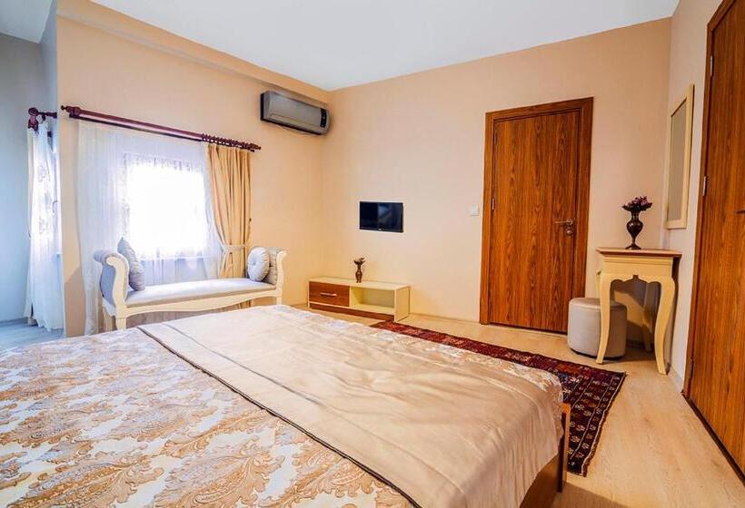 اتاق استاندارد, Million Old City Apartment
