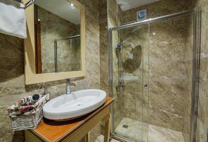 اتاق لوکس, Million Old City Apartment