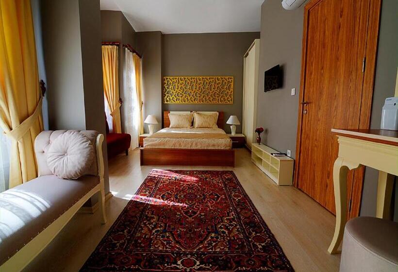 اتاق لوکس, Million Old City Apartment