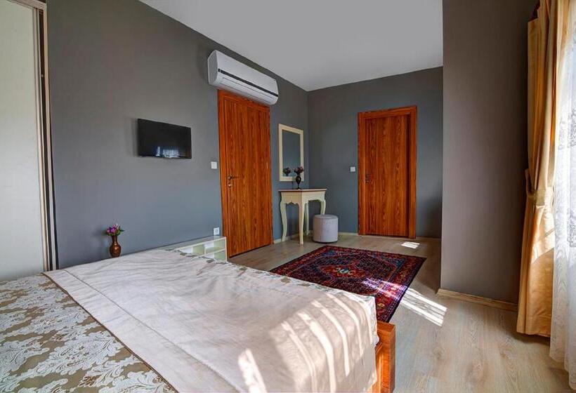 اتاق لوکس با بالکن, Million Old City Apartment