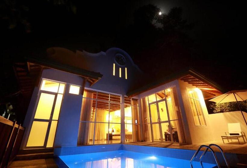 جناح مزود بحمام سباحة, Beach Grove Villas