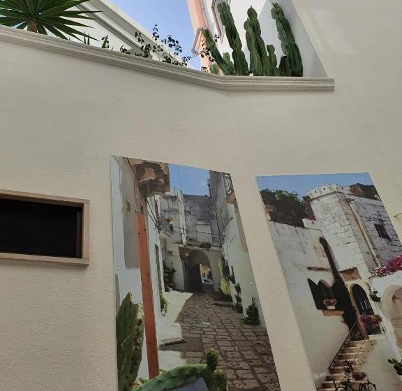 Номер Стандарт, Corallo