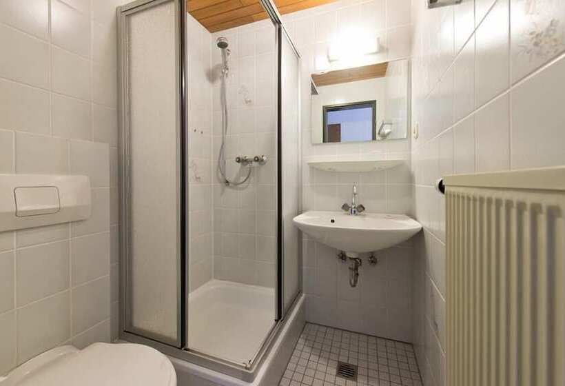 חדר סטנדרט יחיד, Ellenzer Goldbaumchen