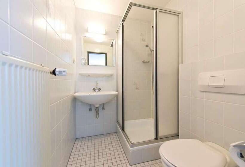 חדר סטנדרט יחיד, Ellenzer Goldbaumchen