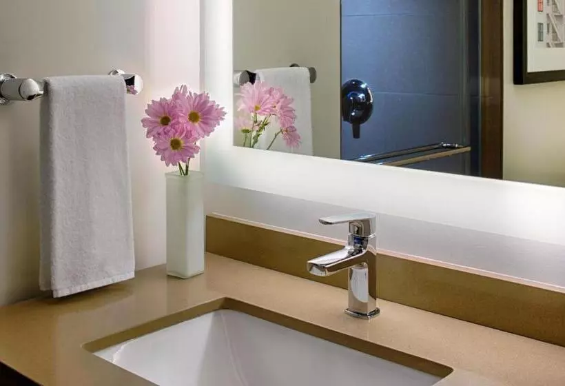 ２ダブルベッドのスタンダードルーム, Hyatt House Seattle Downtown