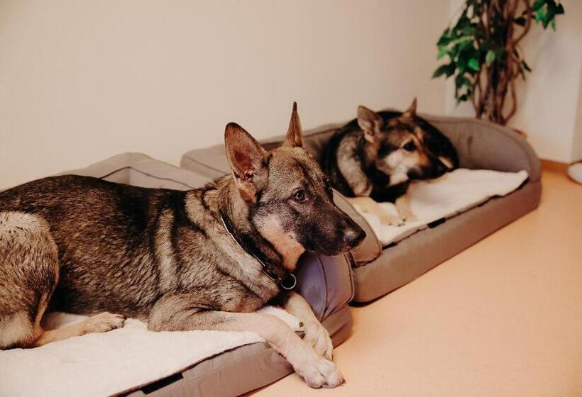 标准间带露台, Landschloss Ernestgrün