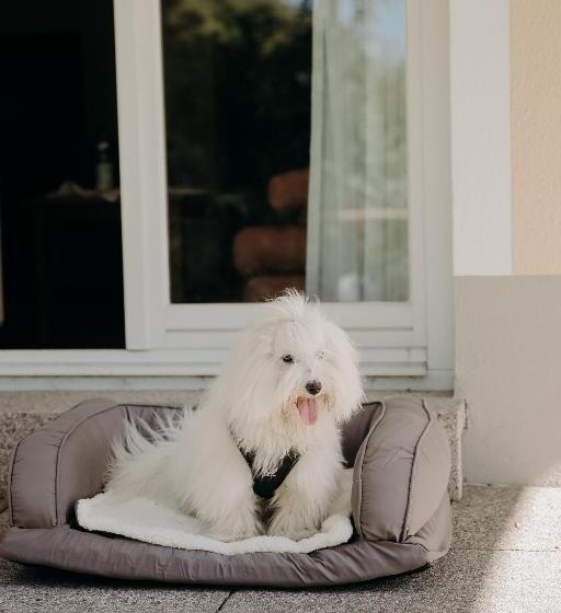 标准间带露台, Landschloss Ernestgrün