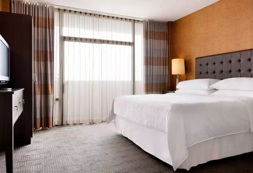 クラブルーム, Sheraton Charlotte