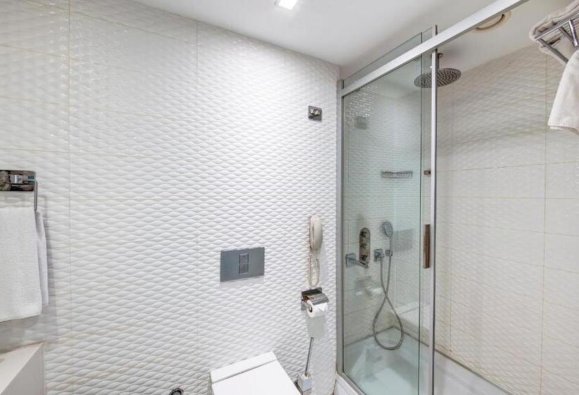 Habitació Estàndard, The Elysium Styles Taksim