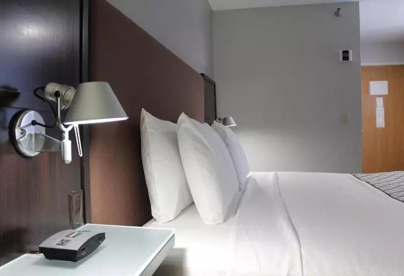 キングサイズベッドのスタンダードルーム, Westbridge Inn & Suites