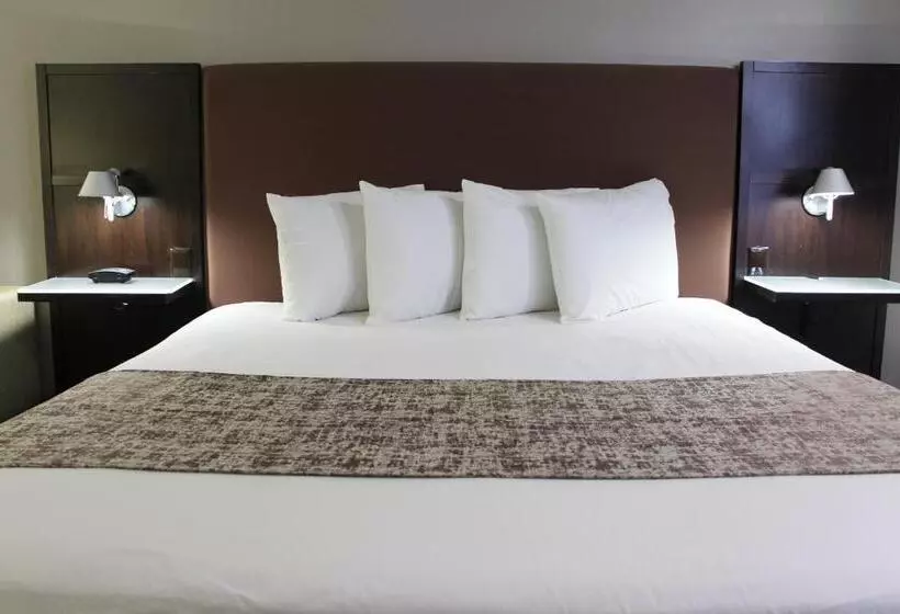 キングサイズベッドのスタンダードルーム, Westbridge Inn & Suites