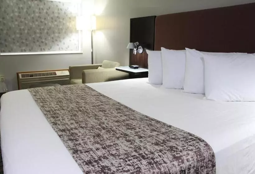 キングサイズベッドのスタンダードルーム, Westbridge Inn & Suites