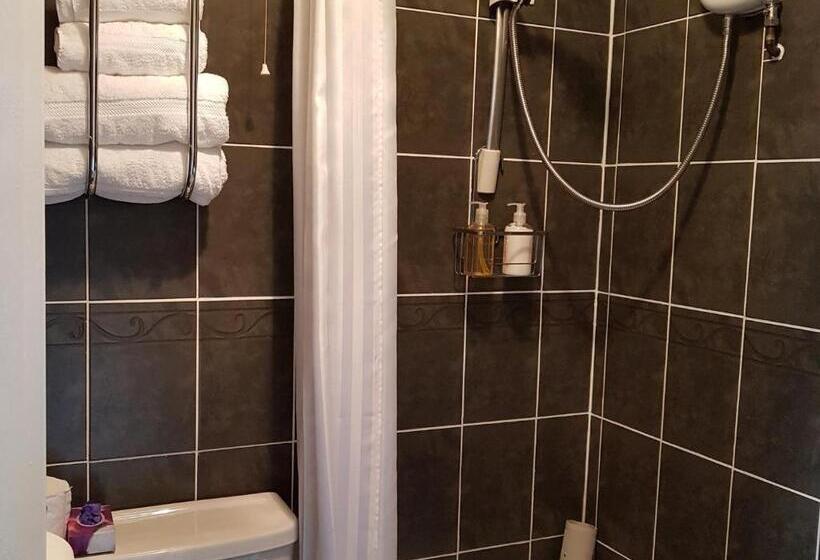 חדר סופריור, Bronwye Guest House