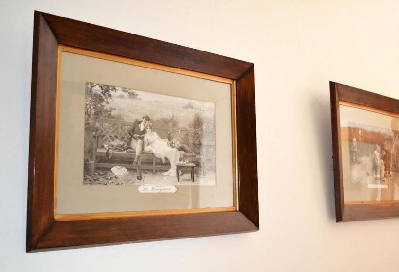 חדר דלוקס יחיד, Braemar House B&b And Yha Hostel