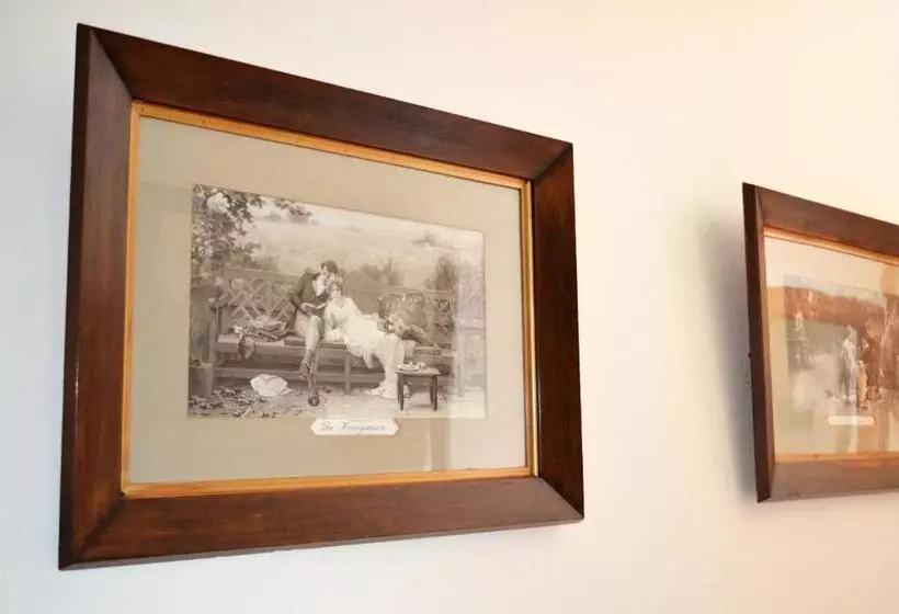 シングルデラックスルーム, Braemar House B&b And Yha Hostel