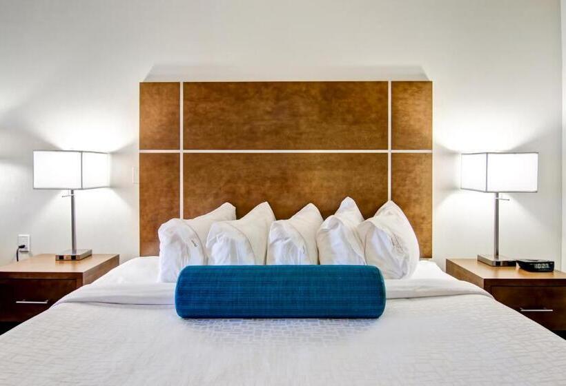 غرفة قياسية سرير كينج, Canalta Selkirk