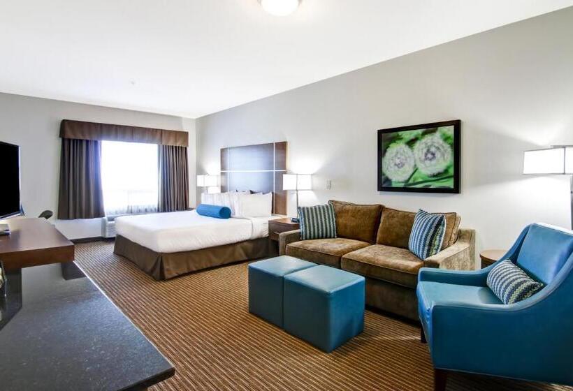 جناح ديلوكس سرير كينج, Canalta Selkirk