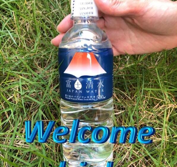 اتاق عادی, Kansai Airport First