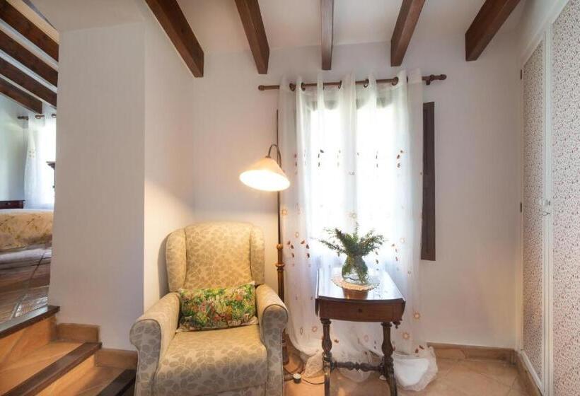 スタンダードルーム, Sa Vall