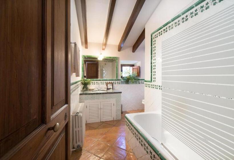 スタンダードルーム, Sa Vall