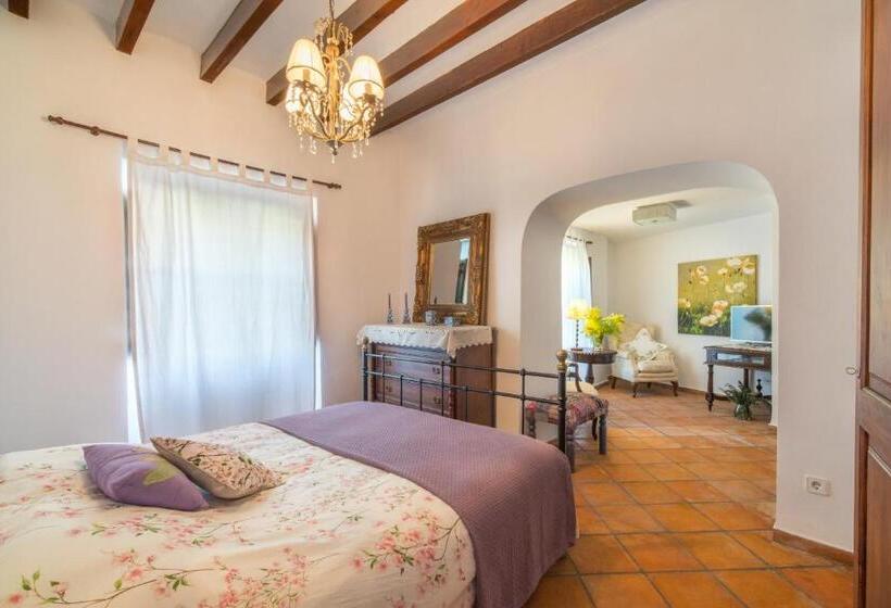 スタンダードルーム, Sa Vall