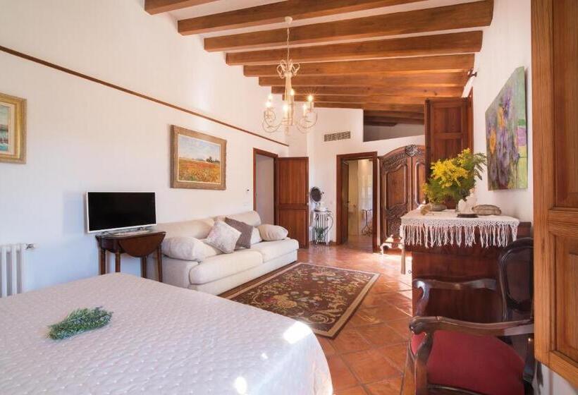 テラス付スーペリアルーム, Sa Vall