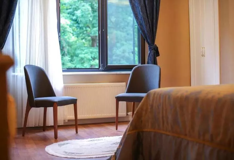 اتاق استاندارد, Thermal Saray Hotel & Spa Yalova