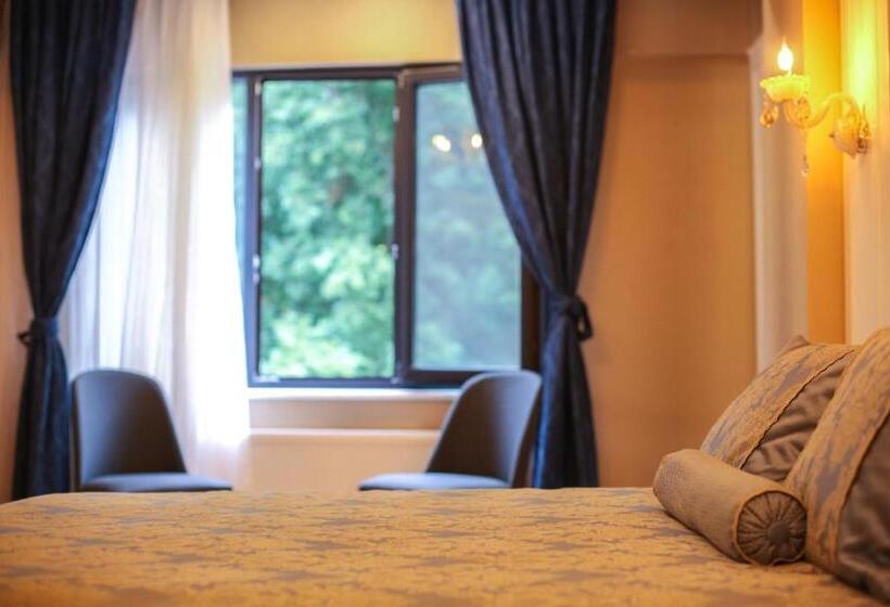 اتاق استاندارد, Thermal Saray Hotel & Spa Yalova