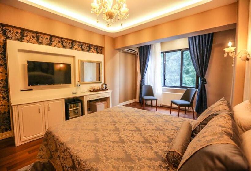 اتاق استاندارد, Thermal Saray Hotel & Spa Yalova