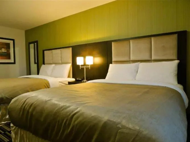 スタンダードルーム, Western Star Inn And Suites Carlyle