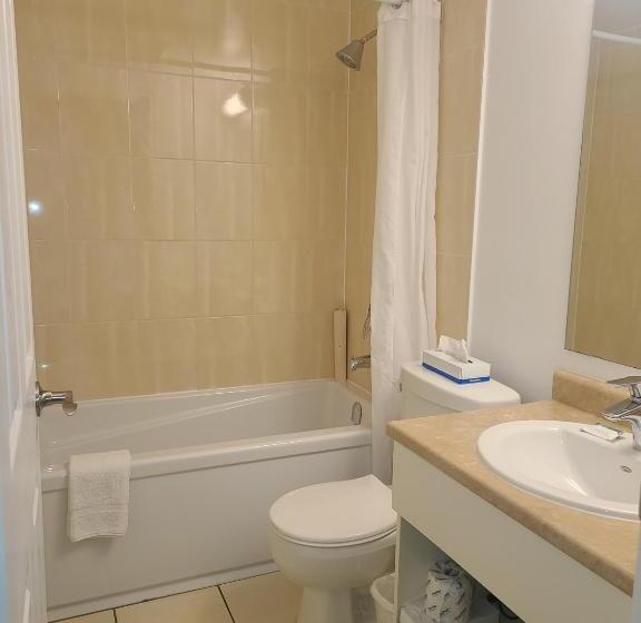 חדר דלוקס, Stardust Motel  Bedford