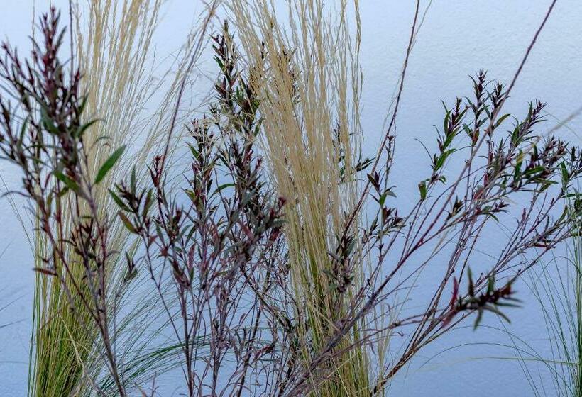 Люкс Deluxe Вид на Море, Divino Suites